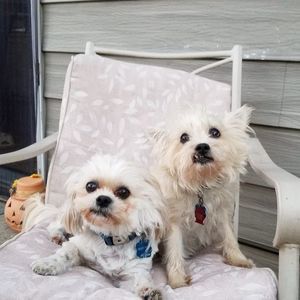 Meet your Posher, Denny